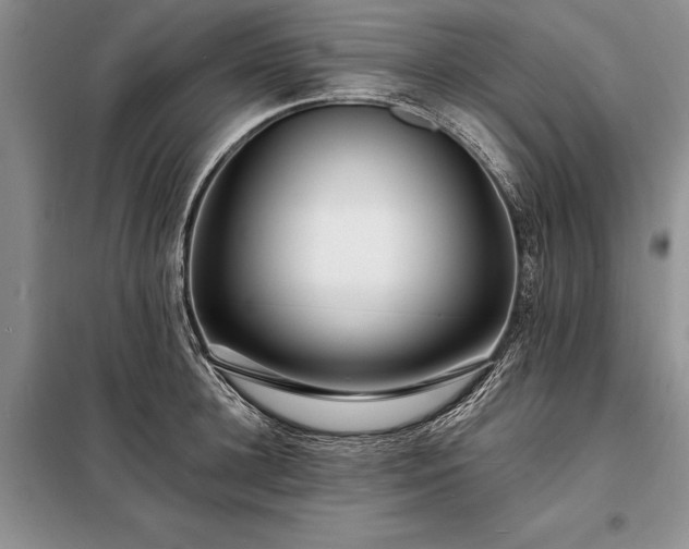 X0000098200948200805011143