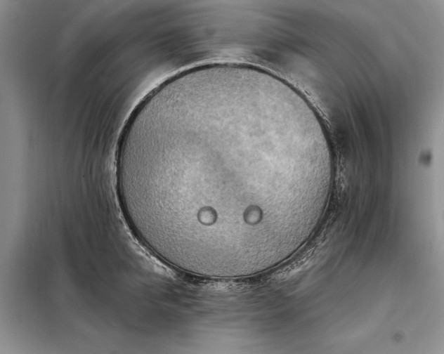 X0000098200950200805011143