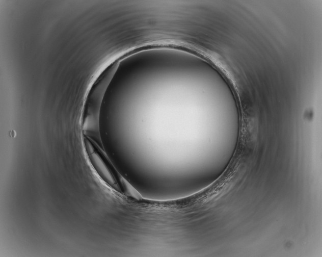 X0000098200951200805011143