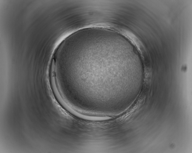 X0000098200952200805011143