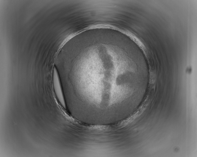 X0000098200953200805011143