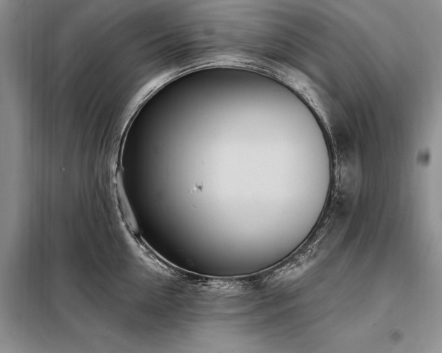 X0000098200954200805011143