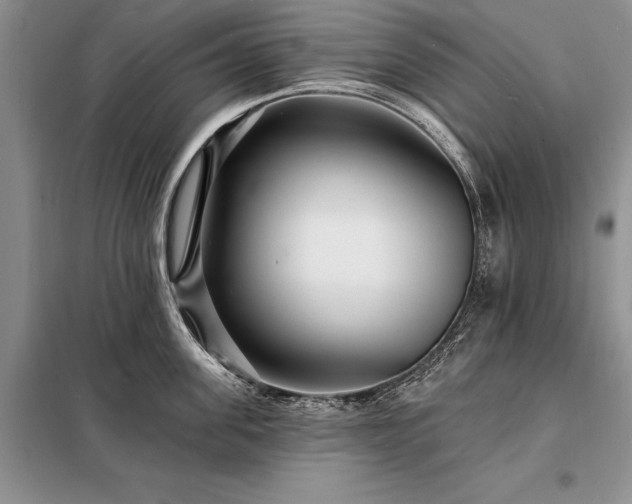 X0000098200955200805011143