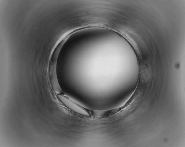 X0000098200956200805011143