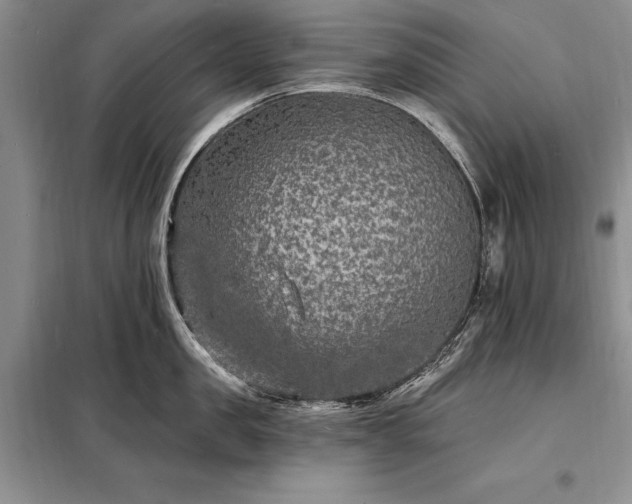 X0000098200957200805011143