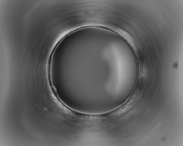X0000098200958200805011143