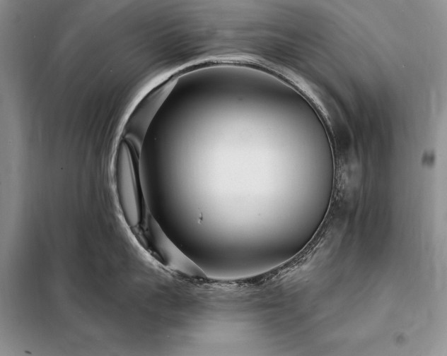 X0000098200959200805011143