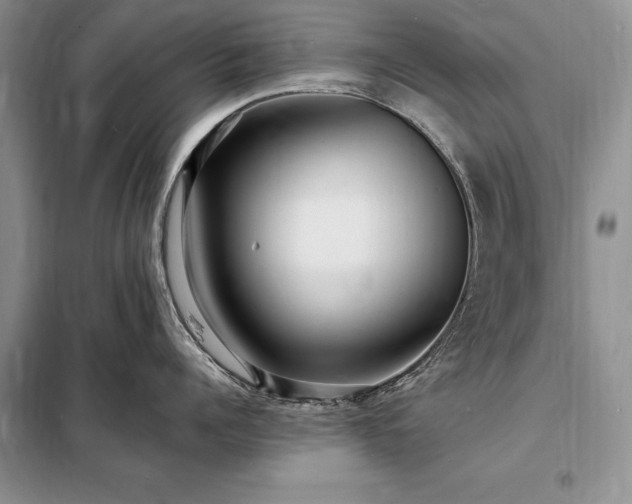 X0000098200960200805011143