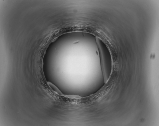 X0000098200961200805011143