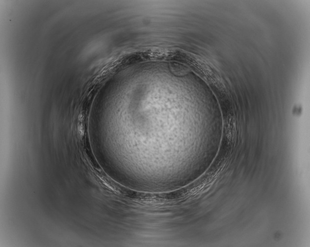 X0000098200962200805011143
