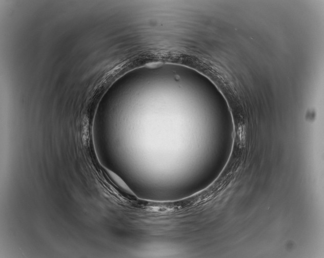 X0000098200963200805011143