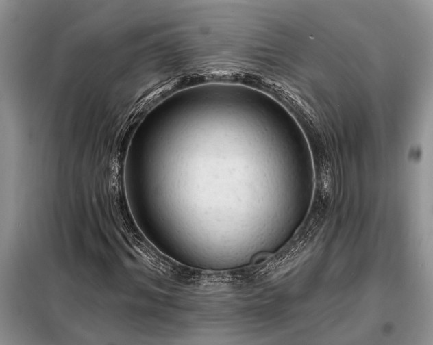X0000098200964200805011143