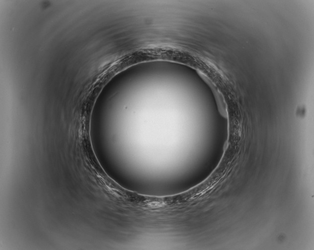 X0000098200965200805011143