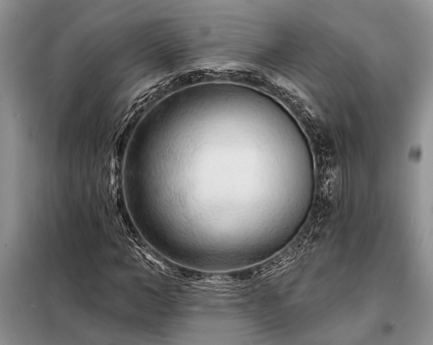 X0000098200966200805011143