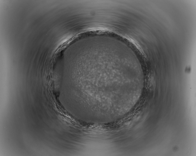 X0000098200967200805011143