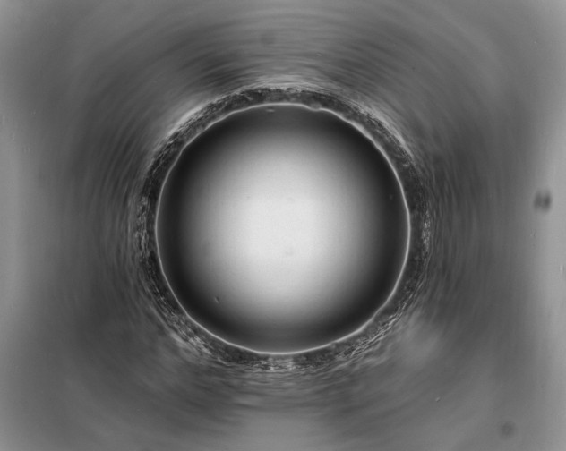 X0000098200968200805011143