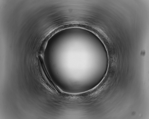 X0000098200969200805011143