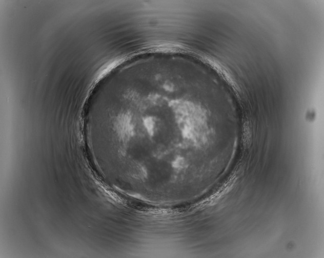 X0000098200970200805011143