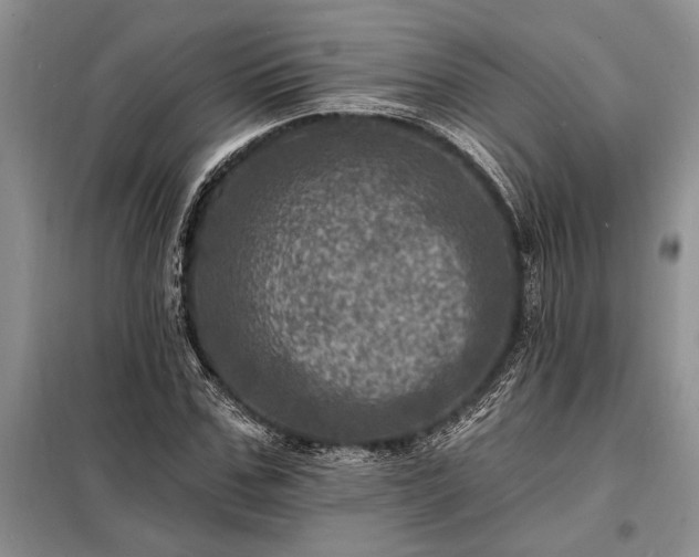 X0000098200971200805011143