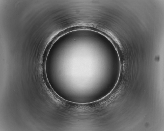 X0000098200972200805011143