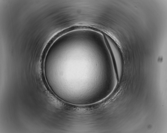 X0000098200976200805011143