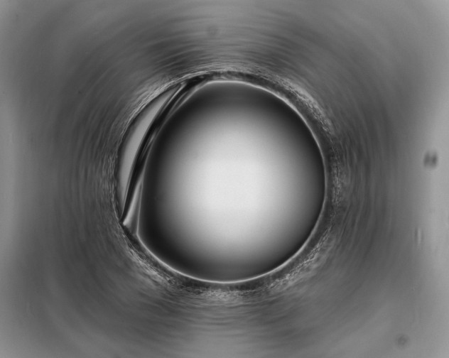 X0000098200977200805011143