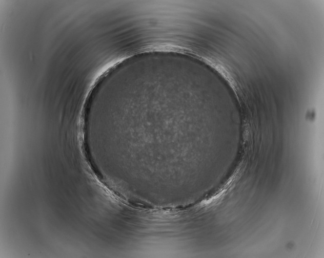X0000098200979200805011143