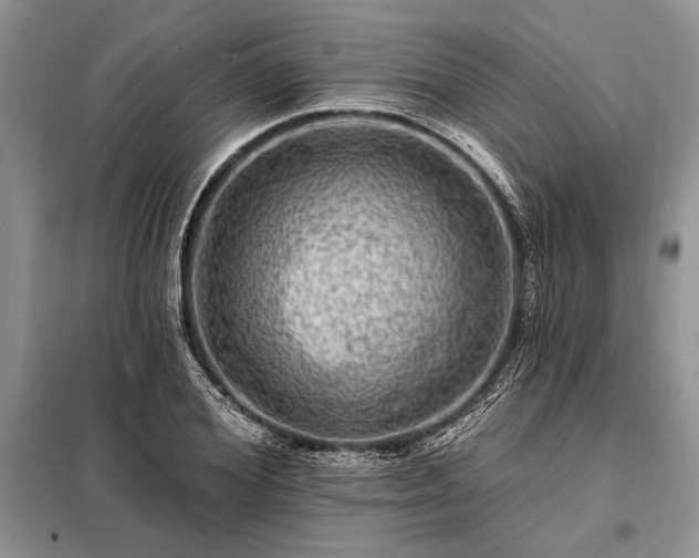 X0000098200980200805011143