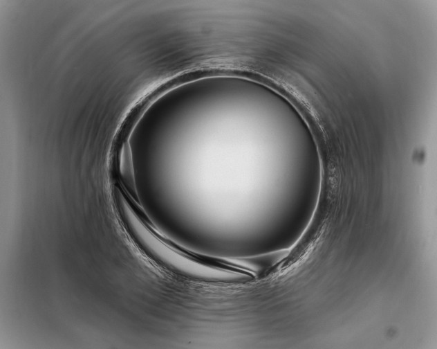 X0000098200981200805011143