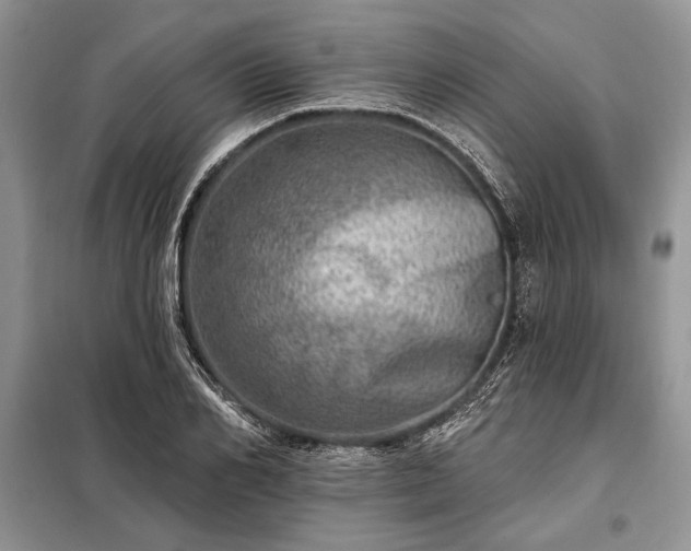X0000098200982200805011143