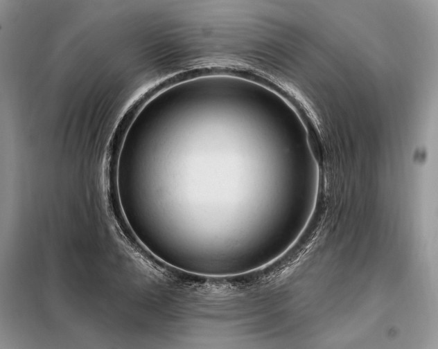 X0000098200983200805011143