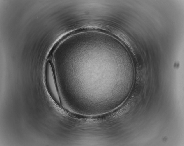 X0000098200984200805011142
