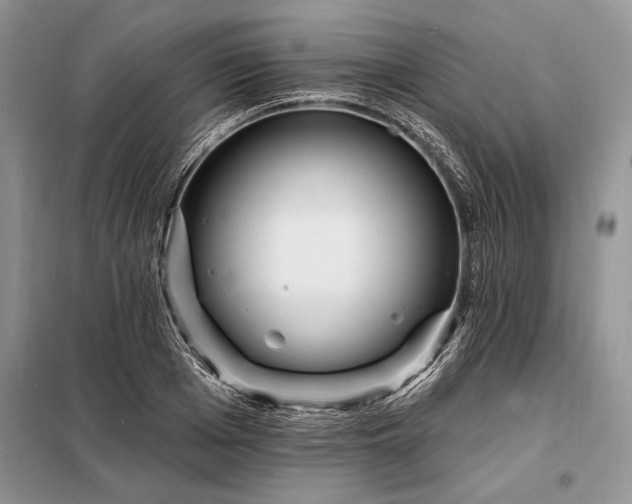 X0000098200985200805011142