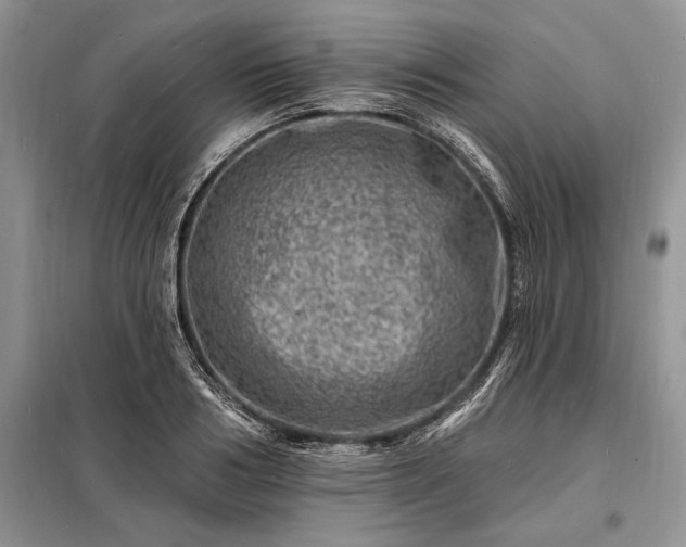 X0000098200986200805011142