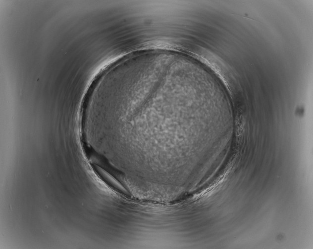X0000098200987200805011142