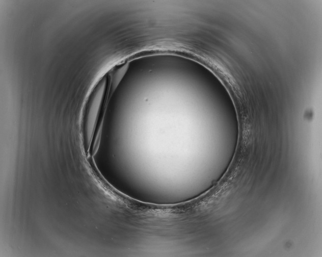 X0000098200990200805011142