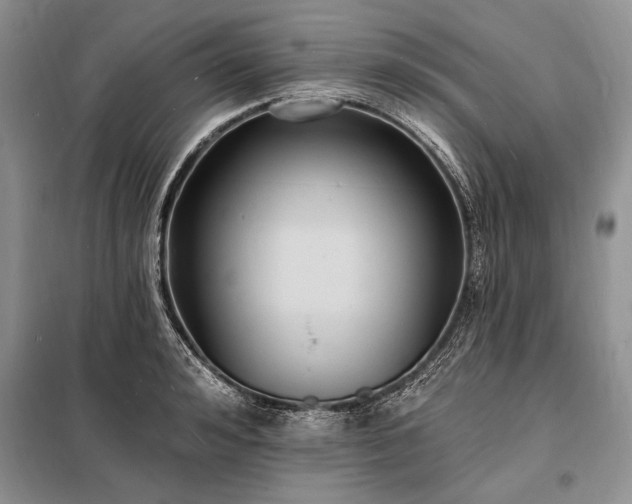 X0000098200992200805011142