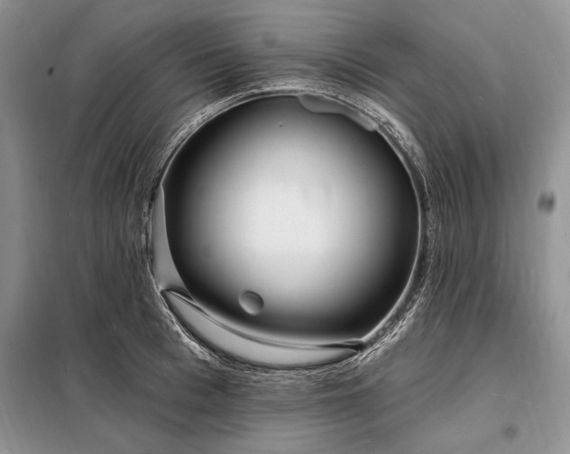X0000098200993200805011142