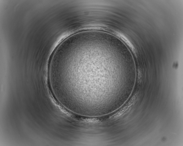 X0000098200994200805011142