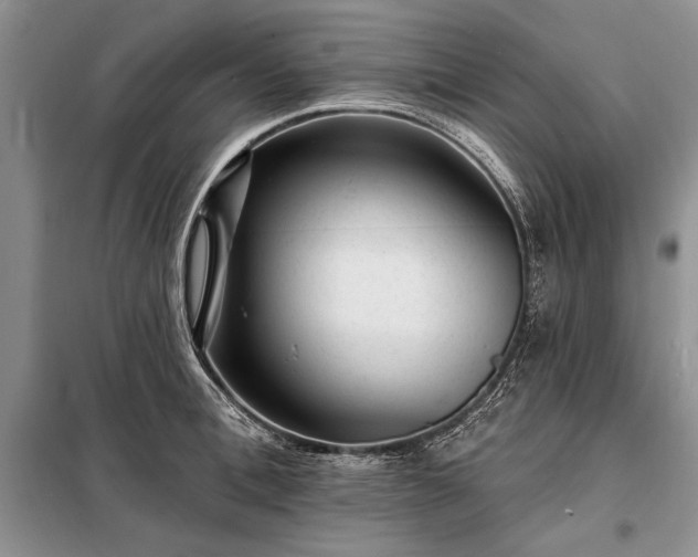 X0000098200996200805011142