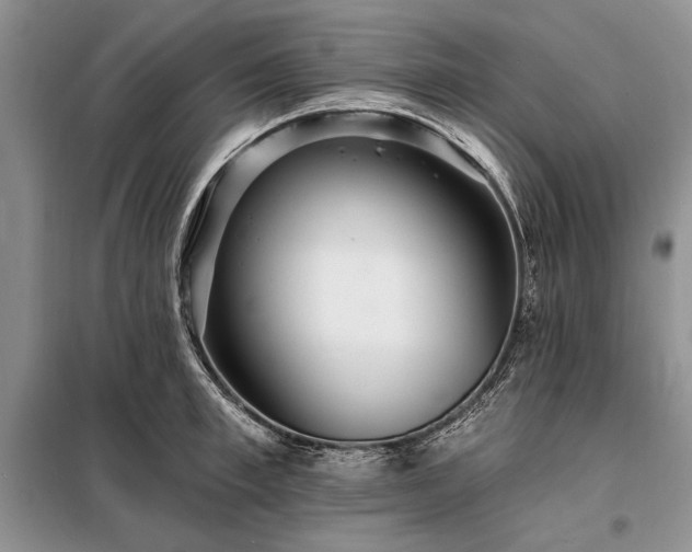 X0000098200997200805011142