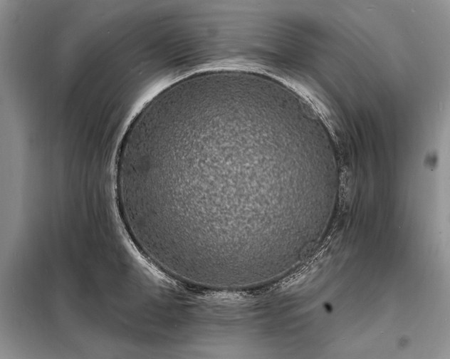 X0000098200998200805011142