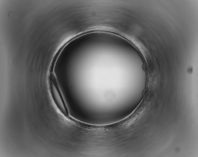 X0000098200999200805011142