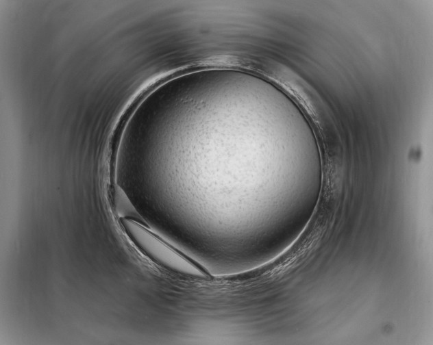 X0000098201000200805011142