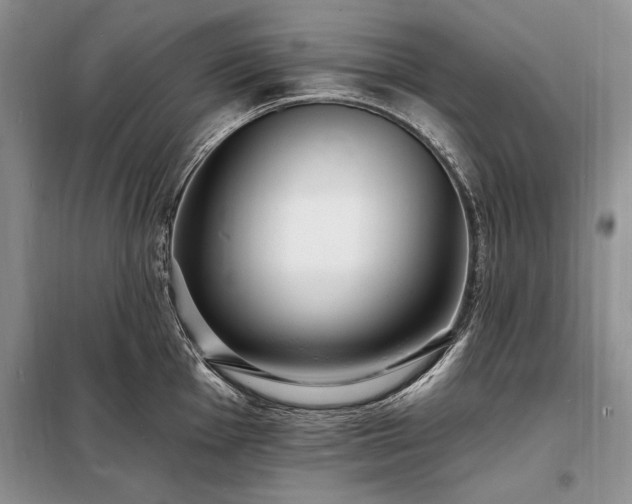 X0000098201001200805011142