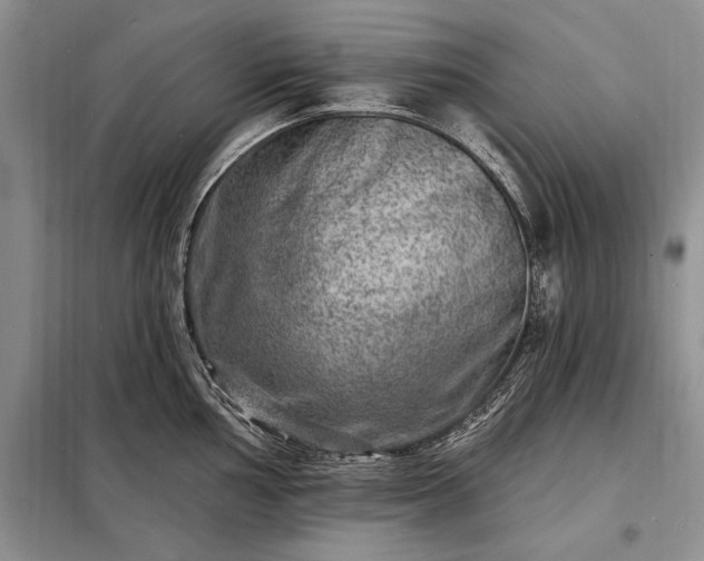 X0000098201002200805011142