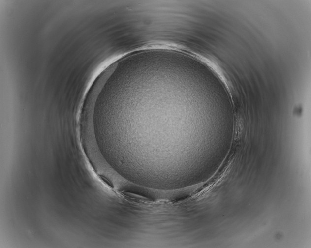 X0000098201003200805011142