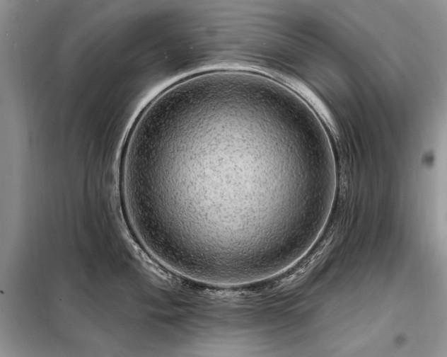 X0000098201004200805011142