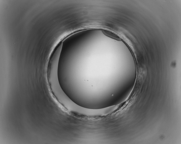 X0000098201005200805011142
