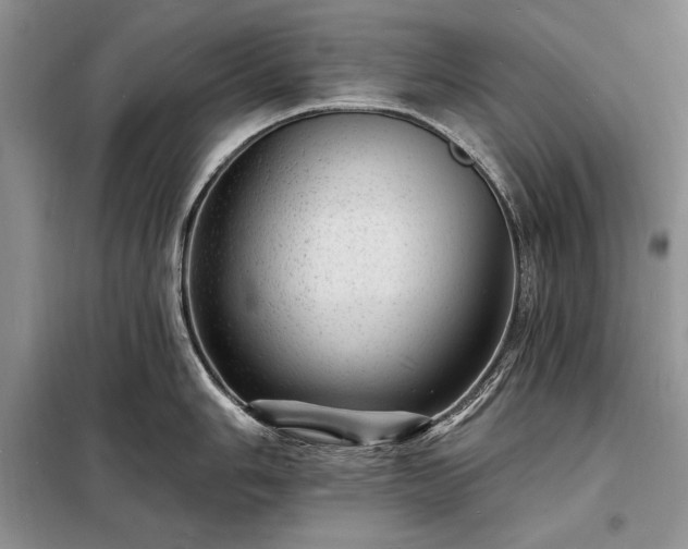 X0000098201006200805011142